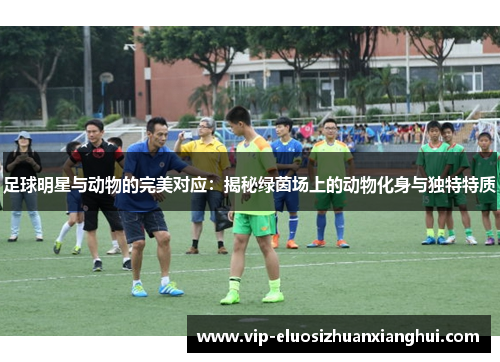 足球明星与动物的完美对应:揭秘绿茵场上的动物化身与独特特质 足球明星与动物的完美对应:揭秘绿茵场上的动物化身与独特特质