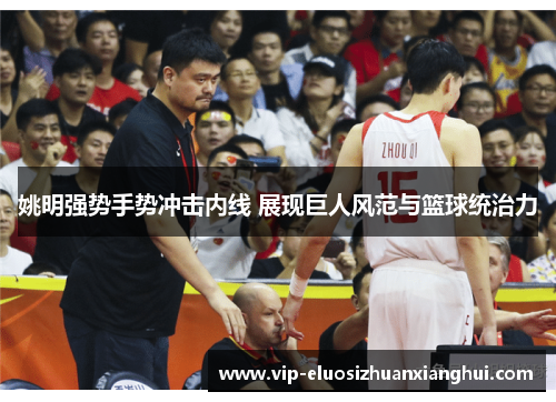 姚明强势手势冲击内线 展现巨人风范与篮球统治力 姚明强势手势冲击内线 展现巨人风范与篮球统治力
