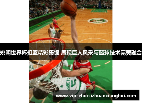 姚明世界杯扣篮精彩集锦 展现巨人风采与篮球技术完美融合 姚明世界杯扣篮精彩集锦 展现巨人风采与篮球技术完美融合