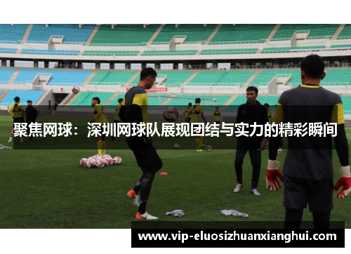 聚焦网球：深圳网球队展现团结与实力的精彩瞬间