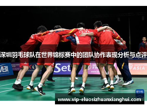 深圳羽毛球队在世界锦标赛中的团队协作表现分析与点评