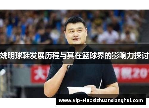 姚明球鞋发展历程与其在篮球界的影响力探讨